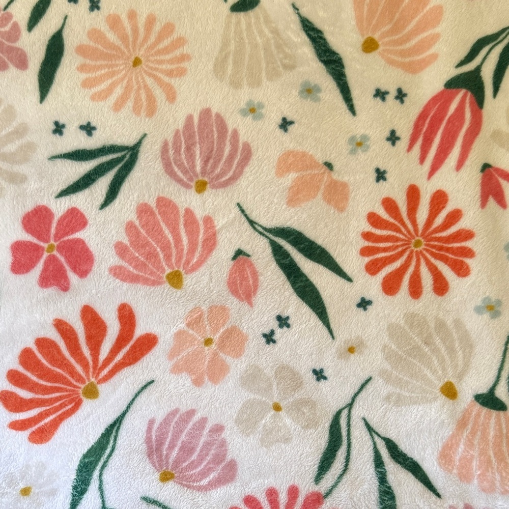 Minky Couture Baby blanket